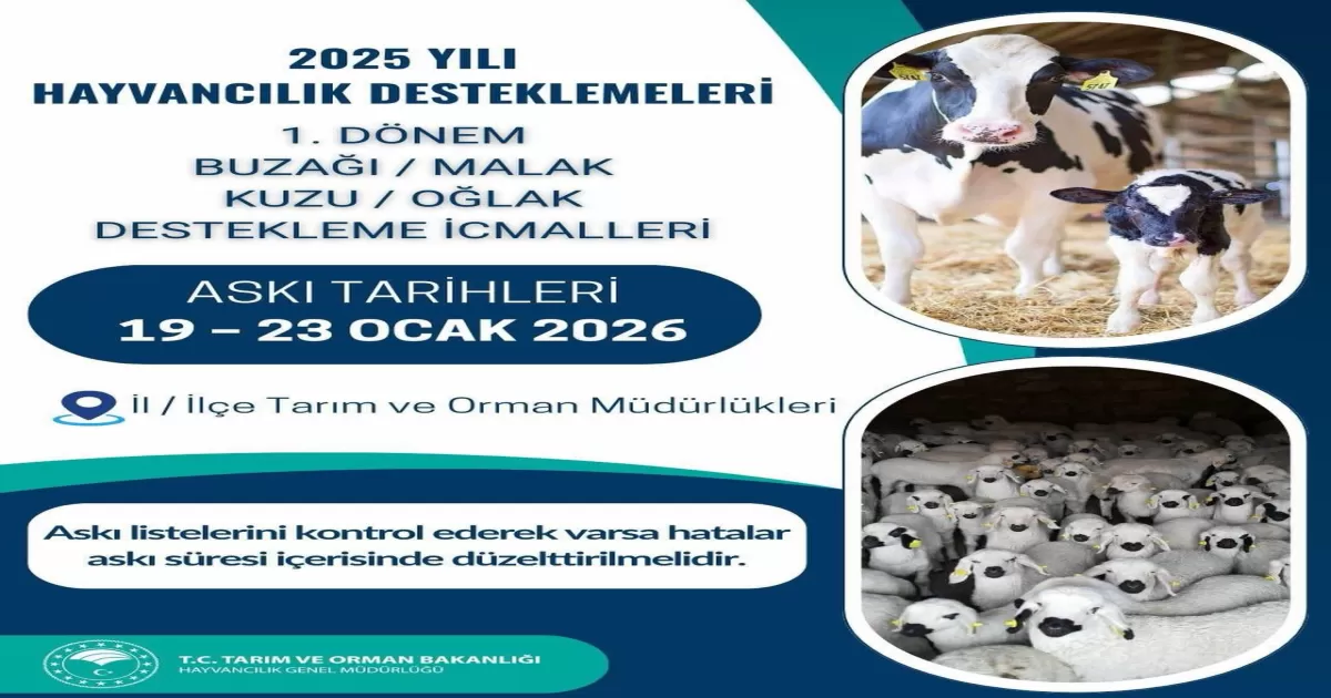 2025 Yılı 1. Dönem Buzağı, Malak, Kuzu ve Oğlak Destekleme İcmalleri Askıya Çıkıyor