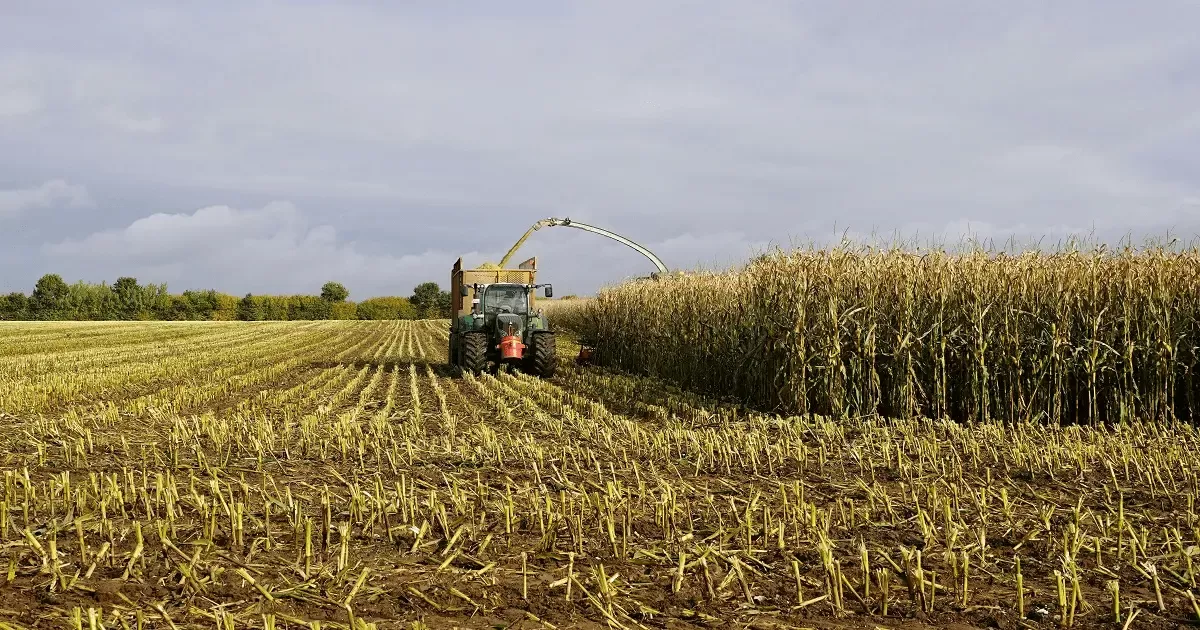 255 Milyon TL’lik Tarımsal Destek Hesaplarda: Çiftçiye Üç Kalemde Ödeme