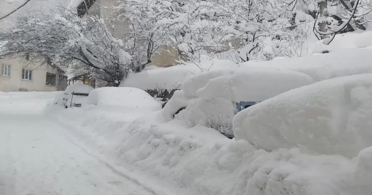 AFAD'dan Doğu ve Batı Karadeniz ile Doğu Anadolu'ya çığ uyarısı