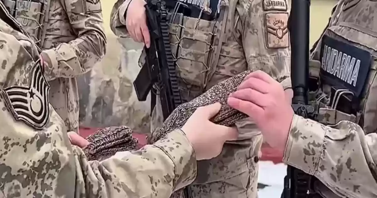 Bulgaristan’dan Hakkari’ye: 77 Yaşındaki Ninenin Çetikleri Jandarmaya Ulaştı