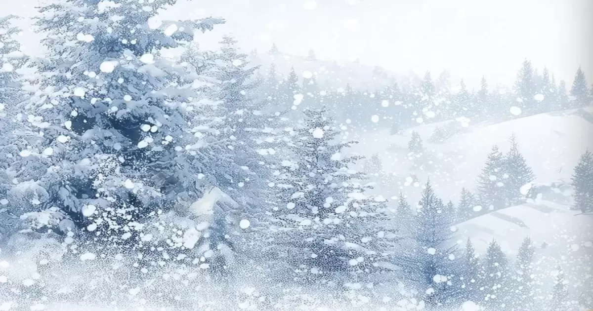 Doğu Anadolu’nun Doğusunda Kuvvetli Kar Yağışı Uyarısı