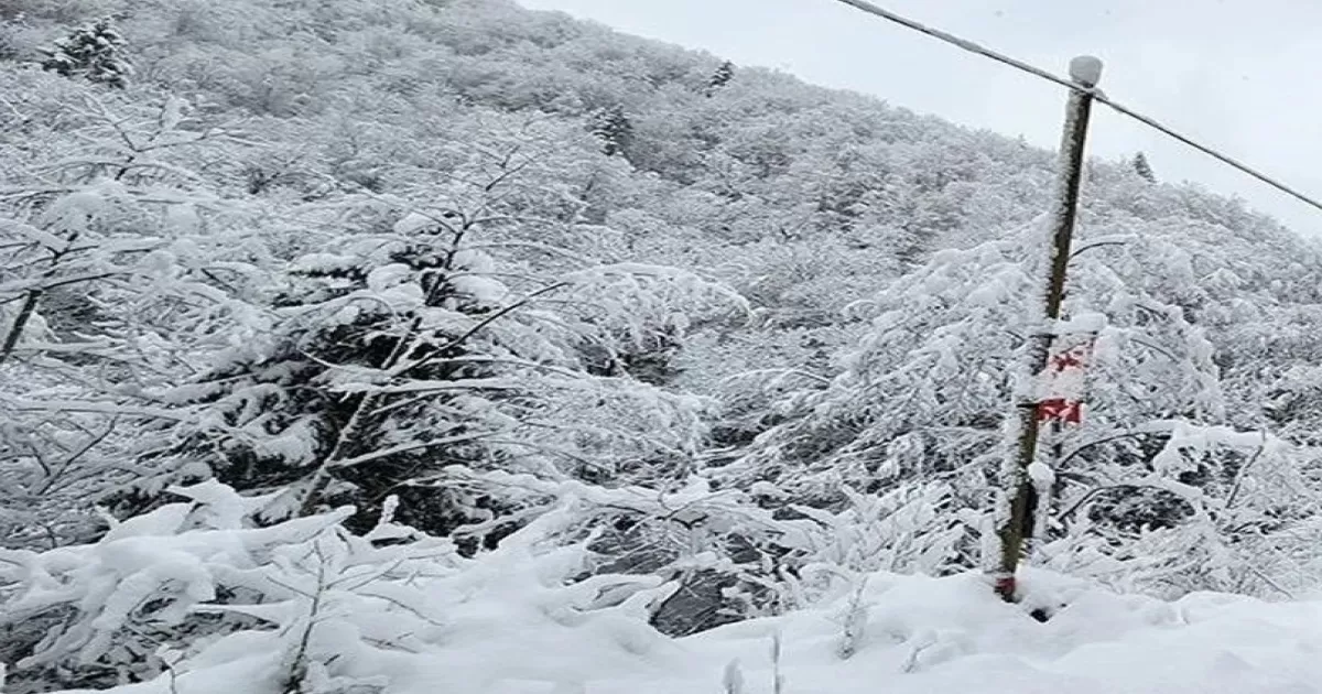 Doğu Karadeniz’in İç ve Yüksek Kesimleri İçin Yoğun Kar Yağışı Uyarısı