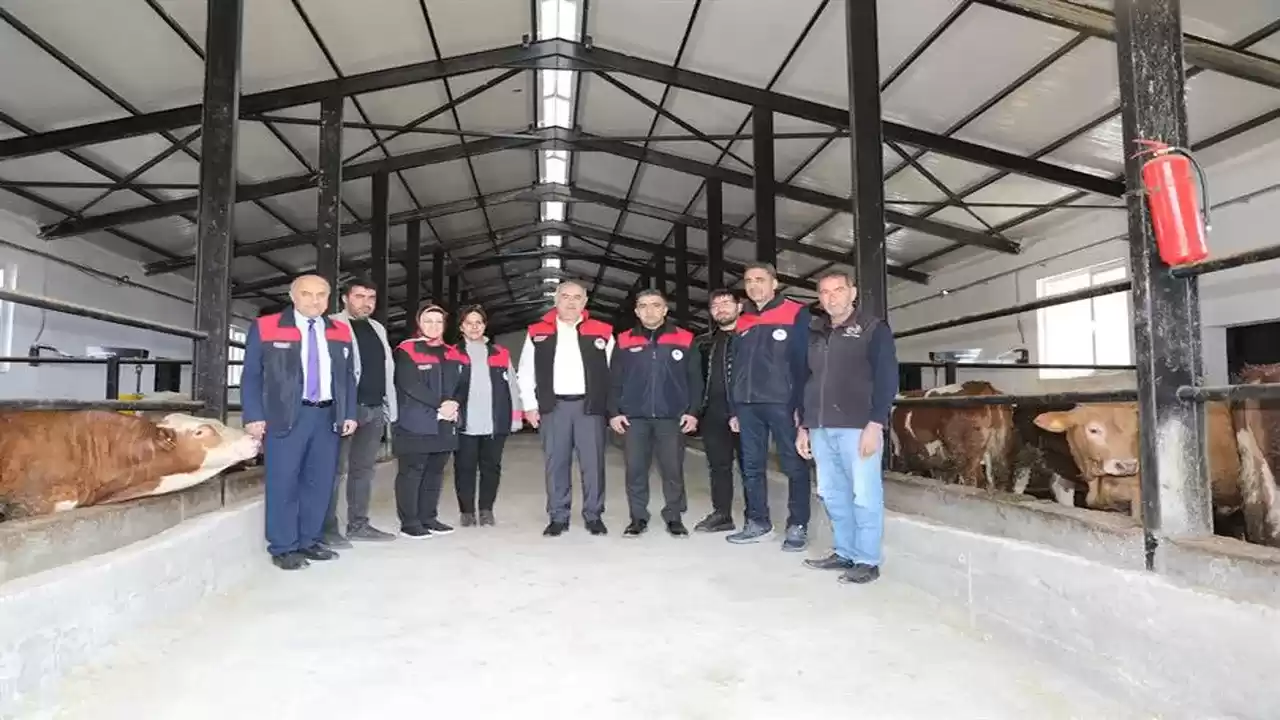 Elazığ’da 8 Milyon TL’lik Besi Tesisi Hizmete Hazır
