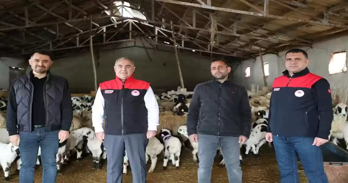 Elazığ’da Küçükbaş Hayvancılığa Yerinde Destek Ziyareti