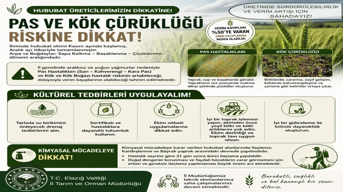 Elazığ’da Hububat Üreticilerine Hastalık Uyarısı