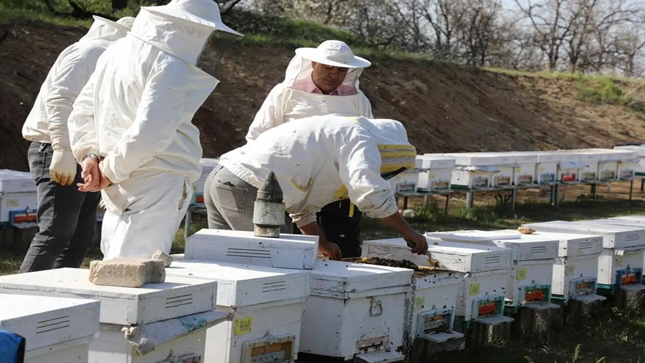 Elazığ’da İlkbahar Arı Bakım Çalışmaları Yerinde İncelendi