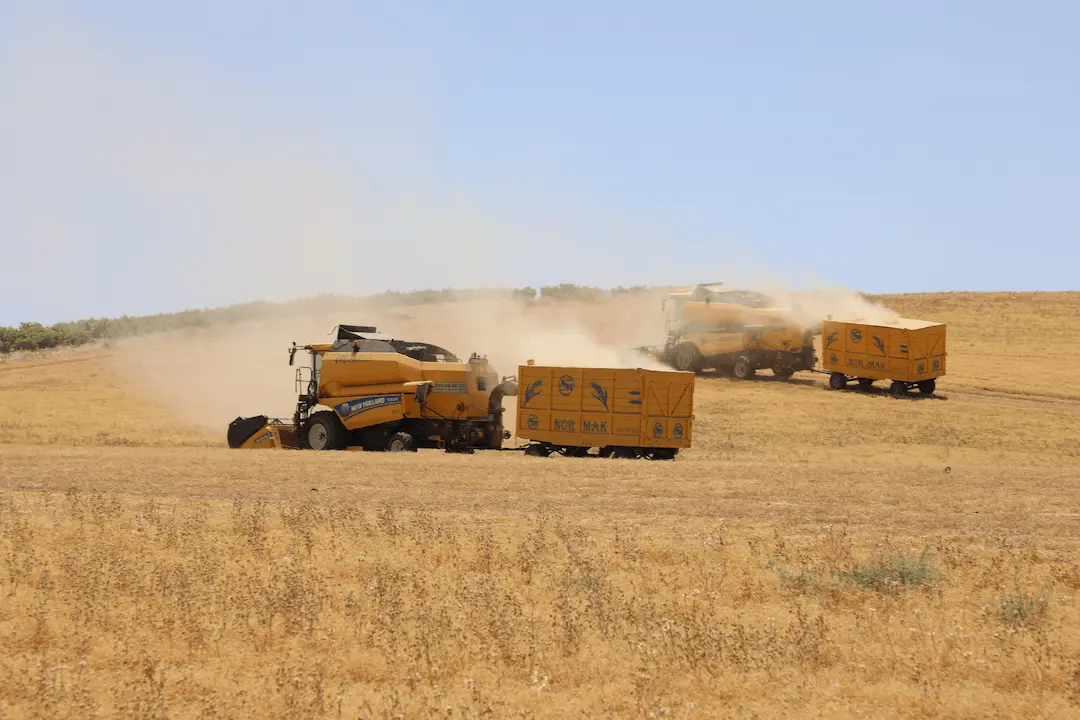 Elazığ'da TAKE Projesi Kapsamında Desteklenen Kırmızı Mercimekte Hasat Başladı