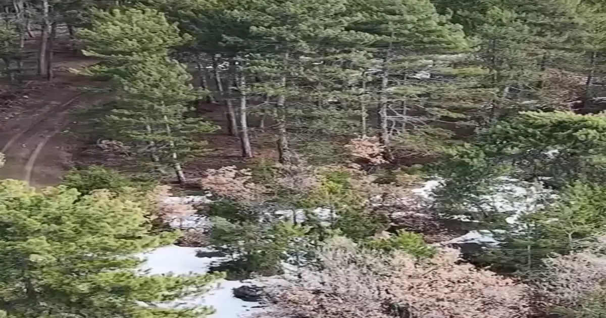 Karabük’te Yasa Dışı Avcılığa Drone Destekli Denetim: 4 Kişiye Ceza