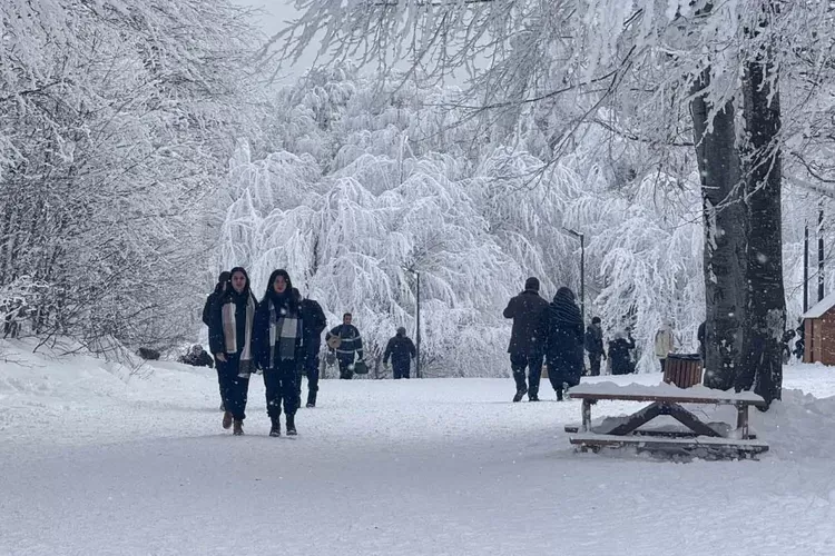 Kocaeli Ormanya, 2025’te de doldu taştı