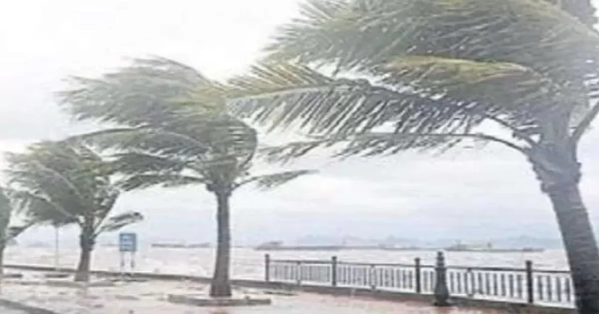 Marmara, Ege ve Akdeniz’de Fırtına Alarmı: Rüzgar 75 km/saate Ulaşacak