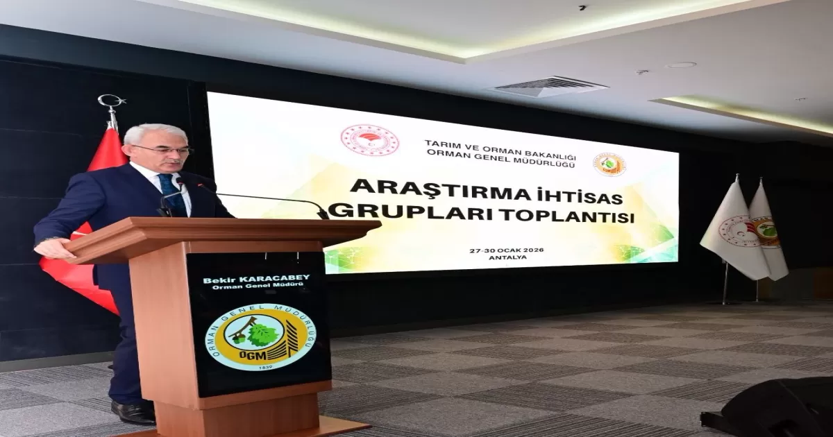 Ormancılıkta Bilim ve Sahadan Güç Birliği: Araştırma İhtisas Grupları Antalya’da Toplandı