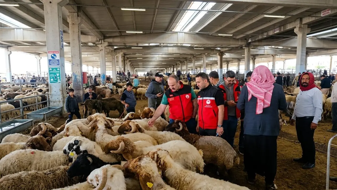 Tarım ve Orman Bakanlığı Kurban Bayramı öncesi 81 ilde denetimleri artırdı