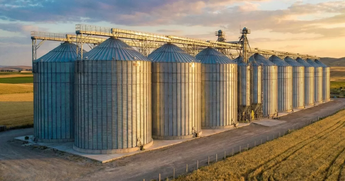 TMO’dan Şubat Ayında 3,9 Milyon Ton Hububat Satışı