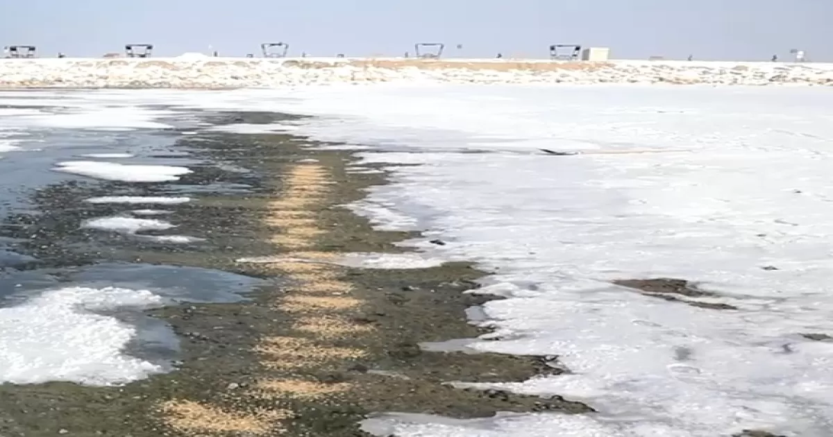 Van’da Kuşlar İçin Doğaya Yem Bırakıldı