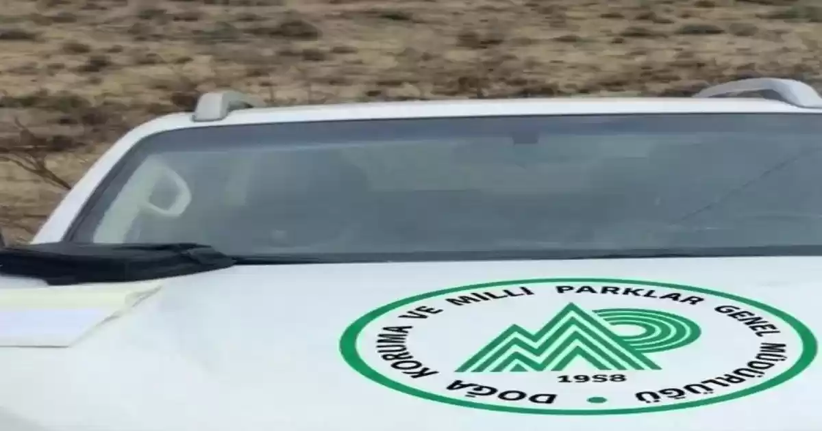 Yaban Hayatına Yasa Dışı Av: 3 Kişiye 1 Milyon TL’yi Aşan Ceza