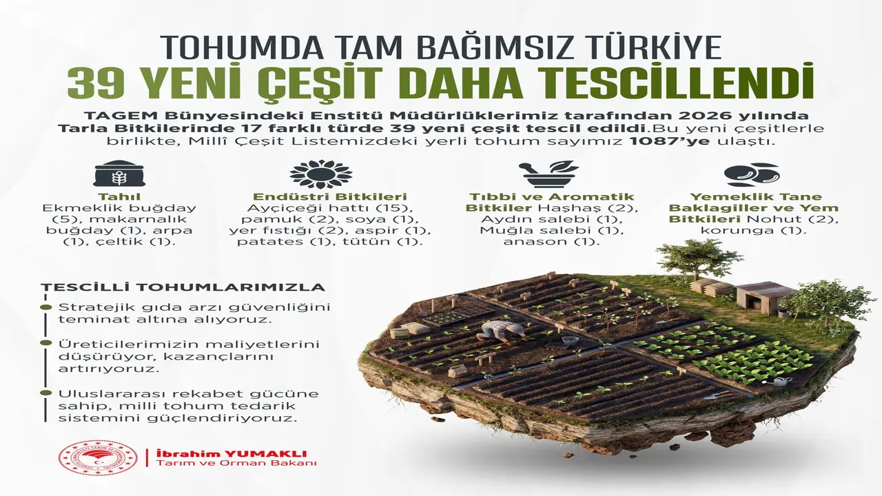 Yerli Tohumda Büyük Atılım: 39 Yeni Çeşit Tescillendi, Toplam Sayı 1087’ye Ulaştı